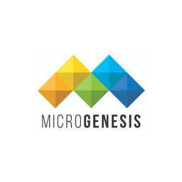 Microgenesis Tech Soft
